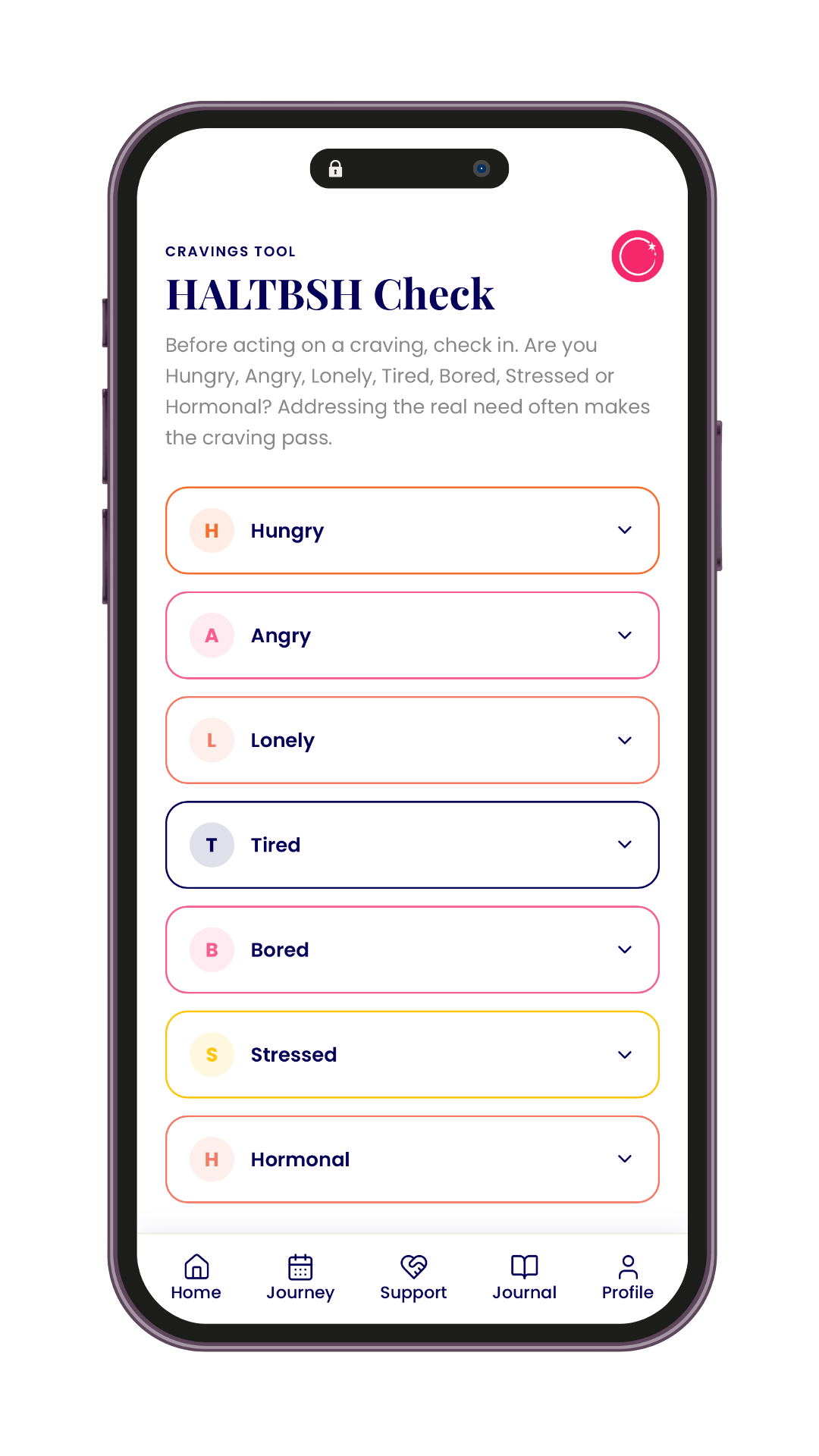 RESET HALTBSH support tool